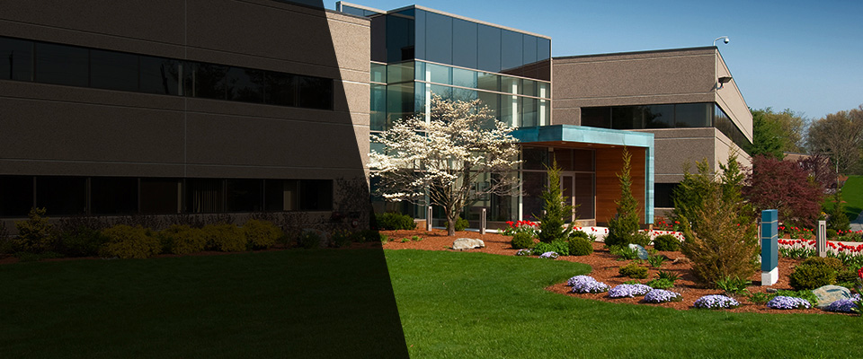 Trumansburg Landscapers