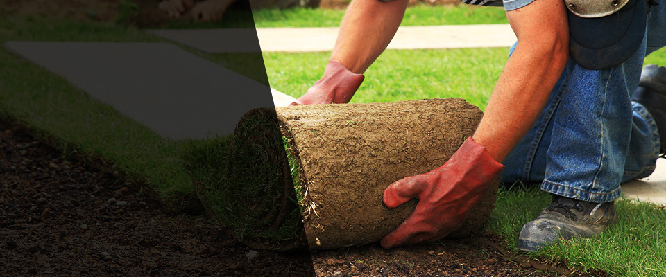 Trumansburg Landscapers